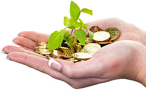 Hände halten Münzen, aus denen eine kleine Pflanze wächst.